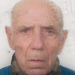 Photo de Monsieur Domenico Gallo