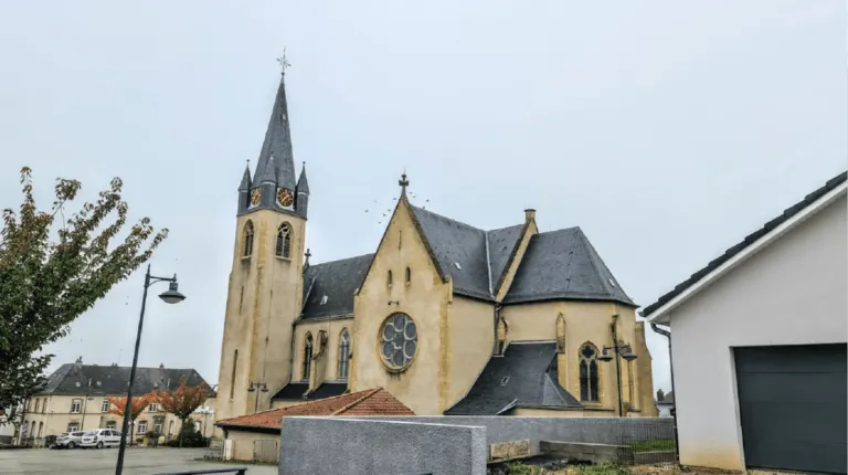 Distroff (57925)